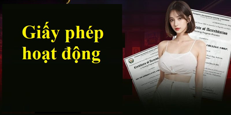 Tìm hiểu về giấy phép hoạt động VIPWIN