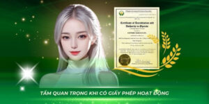 Vai trò quan trọng của các giấy chứng nhận