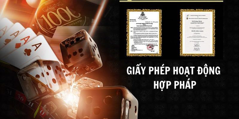 Các loại giấy phép VIPWIN đang sở hữu