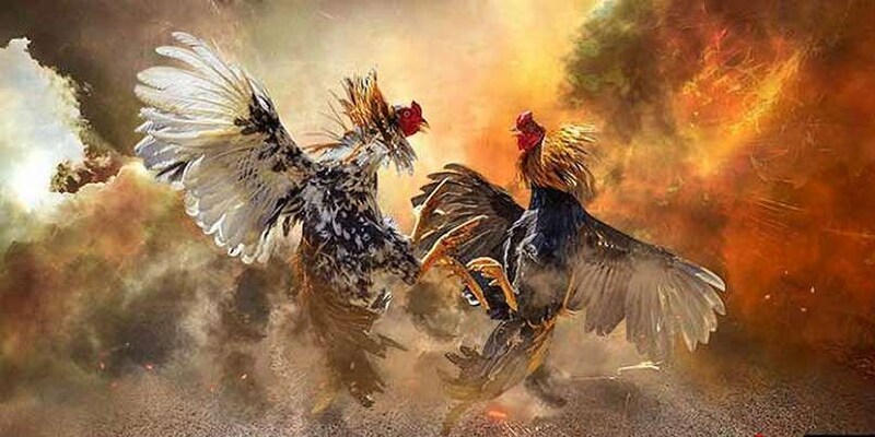 Tham khảo mẹo dự đoán đề đưa ra nhận định đúng đắn nhất